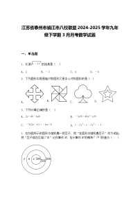 江苏省泰州市靖江市八校联盟2024-2025学年九年级下学期3月月考数学试题（含答案解析）