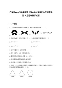 广东省中山市共进联盟2024-2025学年九年级下学期3月月考数学试题（含答案解析）