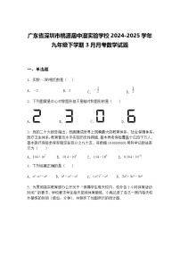 广东省深圳市桃源居中澳实验学校2024-2025学年九年级下学期3月月考数学试题（含答案解析）