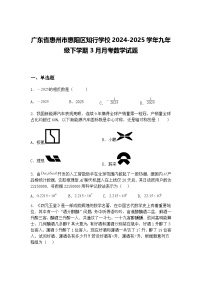 广东省惠州市惠阳区知行学校2024-2025学年九年级下学期3月月考数学试题（含答案解析）