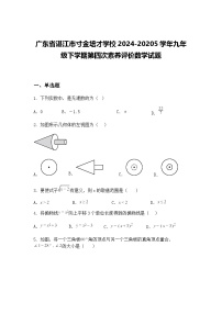 广东省湛江市寸金培才学校2024-20205学年九年级下学期第四次素养评价数学试题（含答案解析）