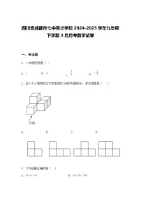 四川省成都市七中育才学校2024-2025学年九年级下学期3月月考数学试卷（含答案解析）