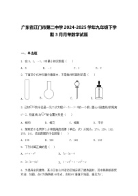 广东省江门市第二中学2024-2025学年九年级下学期3月月考数学试题（含答案解析）