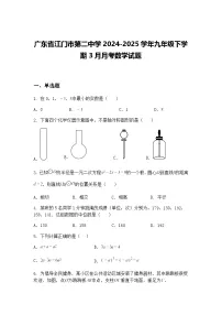 广东省江门市第二中学2024-2025学年九年级下学期3月月考数学试题（含答案解析）