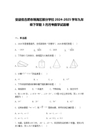安徽省合肥市瑶海区部分学校2024-2025学年九年级下学期3月月考数学试题卷（含答案解析）