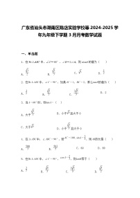 广东省汕头市潮南区陈店实验学校等2024-2025学年九年级下学期3月月考数学试题（含答案解析）