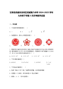 甘肃省武威市凉州区武威第八中学2024-2025学年九年级下学期3月月考数学试题（含答案解析）