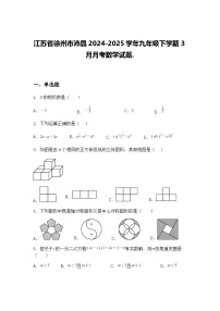 江苏省徐州市沛县2024-2025学年九年级下学期3月月考数学试题.（含答案解析）