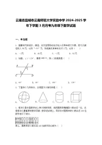 云南省昆明市云南师范大学实验中学2024-2025学年下学期3月月考九年级下数学试题（含答案解析）