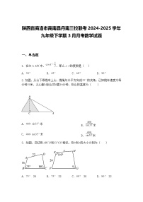 陕西省商洛市商南县丹南三校联考2024-2025学年九年级下学期3月月考数学试题（含答案解析）