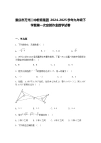重庆市万州二中教育集团 2024-2025学年九年级下学期第一次定时作业数学试卷（含答案解析）