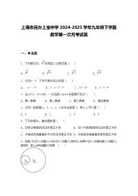 上海市民办上宝中学2024-2025学年九年级下学期数学第一次月考试题（含答案解析）