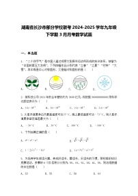 湖南省长沙市部分学校联考2024-2025学年九年级下学期3月月考数学试题（含答案解析）
