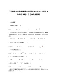 江苏省盐城市盐都区第一共同体2024-2025学年九年级下学期3月月考数学试题（含答案解析）