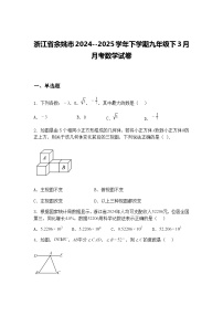 浙江省余姚市2024--2025学年下学期九年级下3月月考数学试卷（含答案解析）