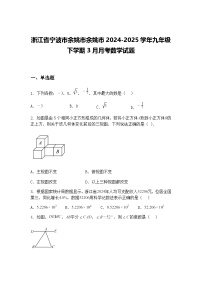 浙江省宁波市余姚市余姚市2024-2025学年九年级下学期3月月考数学试题（含答案解析）