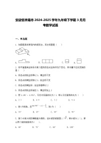 安徽省淮南市2024-2025学年九年级下学期3月月考数学试题（含答案解析）