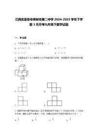 江西省宜春市樟树市第二中学2024-2025学年下学期3月月考九年级下数学试题（含答案解析）