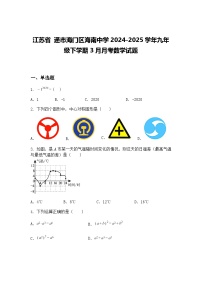 江苏省 通市海门区海南中学2024-2025学年九年级下学期3月月考数学试题（含答案解析）