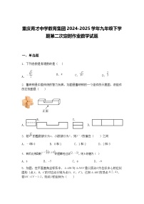 重庆育才中学教育集团2024-2025学年九年级下学期第二次定时作业数学试题（含答案解析）