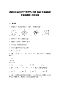 湖北省武汉市二中广雅中学2024-2025学年九年级下学期数学3月测试题（含答案解析）