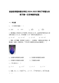 安徽省阜阳市部分学校2024-2025学年下学期九年级下第一次月考数学试题（含答案解析）