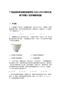 广东省深圳市龙岗区宏扬学校2024-2025学年九年级下学期3月月考数学试题（含答案解析）