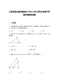 江苏省连云港市海州区2024-2025学年九年级下学期月考数学试卷（含答案解析）