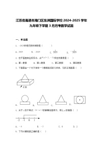 江苏省南通市海门区东洲国际学校2024-2025学年九年级下学期3月月考数学试题（含答案解析）