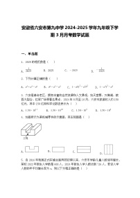 安徽省六安市第九中学2024-2025学年九年级下学期3月月考数学试题（含答案解析）