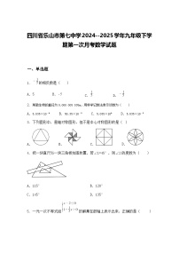 四川省乐山市第七中学2024--2025学年九年级下学期第一次月考数学试题（含答案解析）