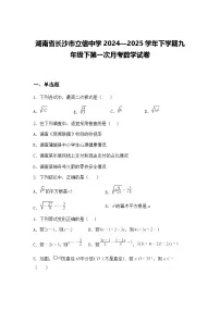 湖南省长沙市立信中学2024—2025学年下学期九年级下第一次月考数学试卷（含答案解析）