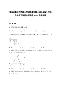 重庆市北碚区西南大学附属中学校2024-2025学年九年级下学期定时训练（一）数学试题（含答案解析）