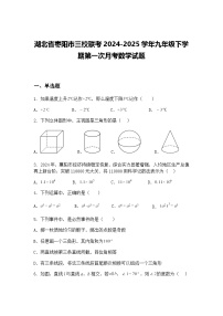 湖北省枣阳市三校联考2024-2025学年九年级下学期第一次月考数学试题（含答案解析）