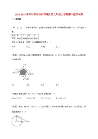 2024_2025学年度江苏省徐州市铜山区九年级上册期中数学检测试卷【附解析】