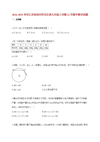 2024_2025学年度江苏省扬州市宝应县九年级上册11月期中数学检测试卷【附解析】