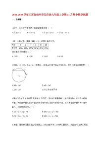 2024_2025学年度江苏省扬州市宝应县九年级上册11月期中数学检测试卷【附解析】