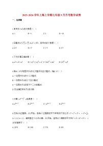 2025_2026学年上海上册七年级9月月考数学检测试卷【附解析】