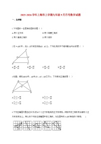 2025_2026学年上海市上册九年级9月月考数学检测试卷【附解析】