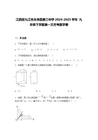 江西省九江市永修县第三中学2024-2025学年 九年级下学期第一次月考数学卷（含答案解析）