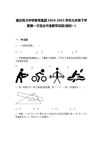 重庆育才中学教育集团2024-2025学年九年级下学期第一次自主作业数学试题(模拟一)（含答案解析）