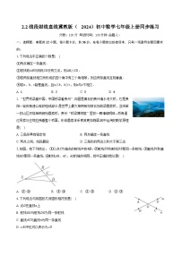 初中数学冀教版（2024）七年级上册（2024）线段、射线、直线精品课时作业