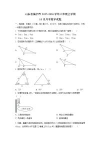 山东省临沂市2025-2026学年八年级上学期10月月考数学试卷（学生版）