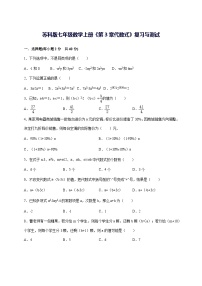 苏科版（2024）代数式综合训练题