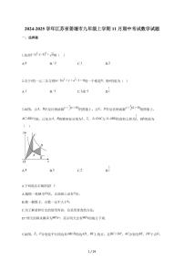 2024-2025学年江苏省姜堰市九年级上学期（11月）期中考试数学检测试题【附答案】