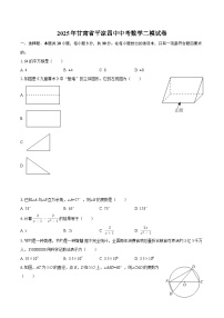 2025年甘肃省平凉四中中考数学二模试卷-自定义类型