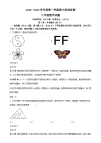 湖北省武汉市江汉区2024-2025学年八年级上学期11月期中考试数学试题（解析版）-A4