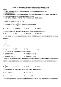 2024-2025学年襄阳市枣阳市中考数学最后冲刺模拟试卷含解析