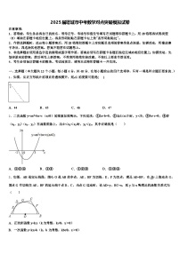 2025届塔城市中考数学对点突破模拟试卷含解析