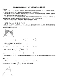 湖南省益阳市南县2025年中考数学最后冲刺模拟试卷含解析